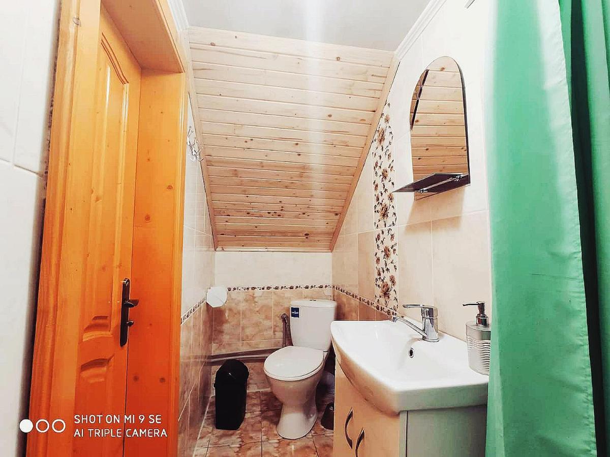Cottage Panorama Karpat Volosyanka  Ngoại thất bức ảnh